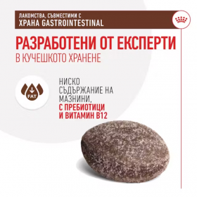 Royal Canin Gastrointestinal Dog Treat - лесносмилаеми лакомства за куче 230 гр